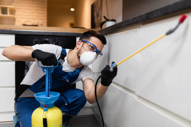 Pest Prevention Services in Clayton, MO