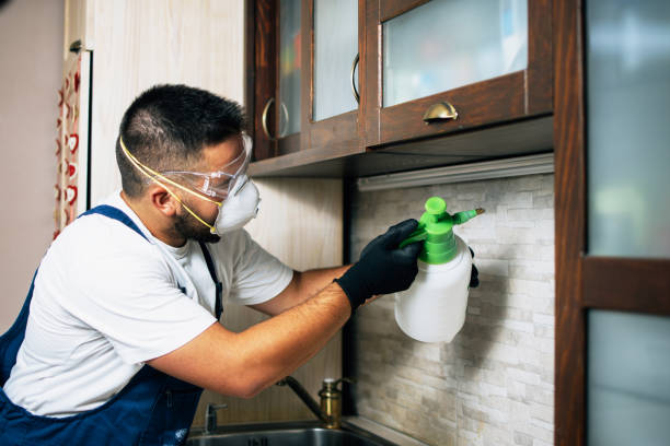 Best Wildlife Control Services  in Clayton, MO