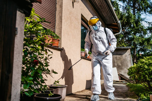 Best Wasp Removal Services  in Clayton, MO