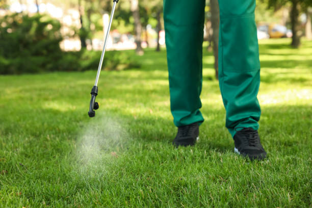 Best Best Pest Control Companies  in Clayton, MO