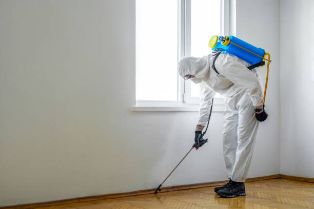 Best Mosquito Control Services  in Clayton, MO