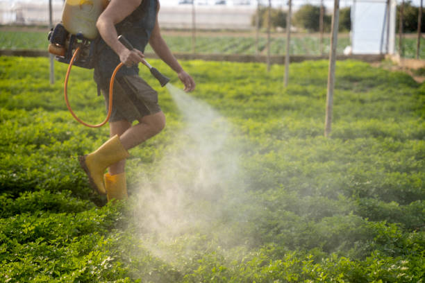 Best Pest Control Treatment  in Clayton, MO