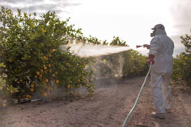 Best Pest Removal Services  in Clayton, MO