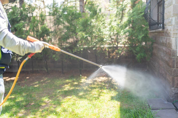 Best Mosquito Control Services  in Clayton, MO