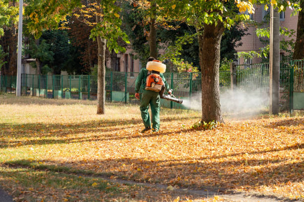 Best Residential Pest Control  in Clayton, MO