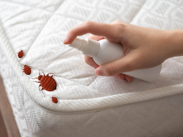 Best Bed Bug Extermination  in Clayton, MO