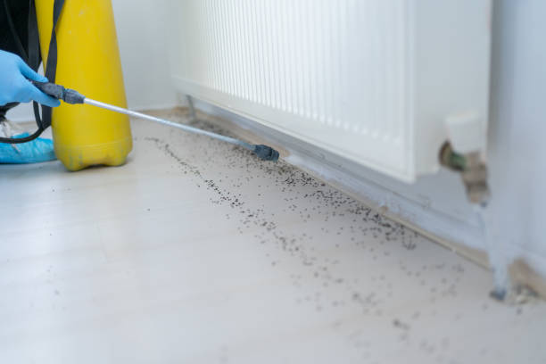 Best Wildlife Control Services  in Clayton, MO