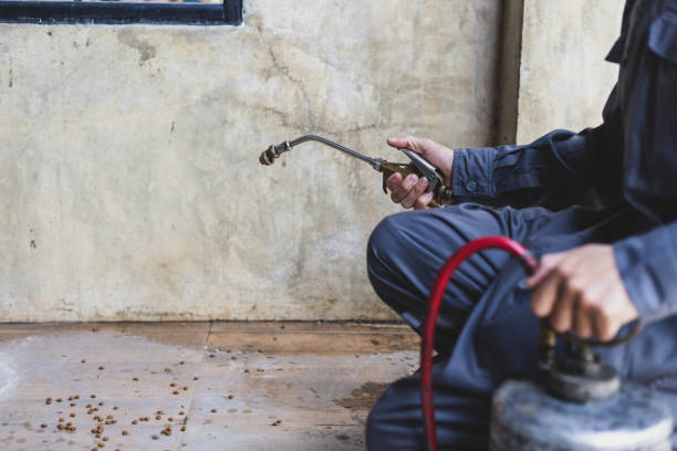 Best Exterminator Services  in Clayton, MO