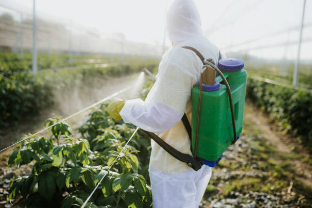 Best Residential Pest Control  in Clayton, MO